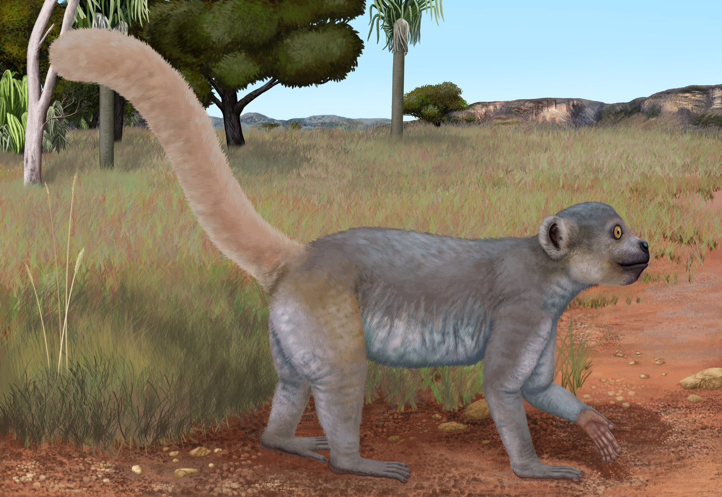 Extinct Archaeolemur Madagascar Glossy Poster Picture Photo Print Banner Booma Prints