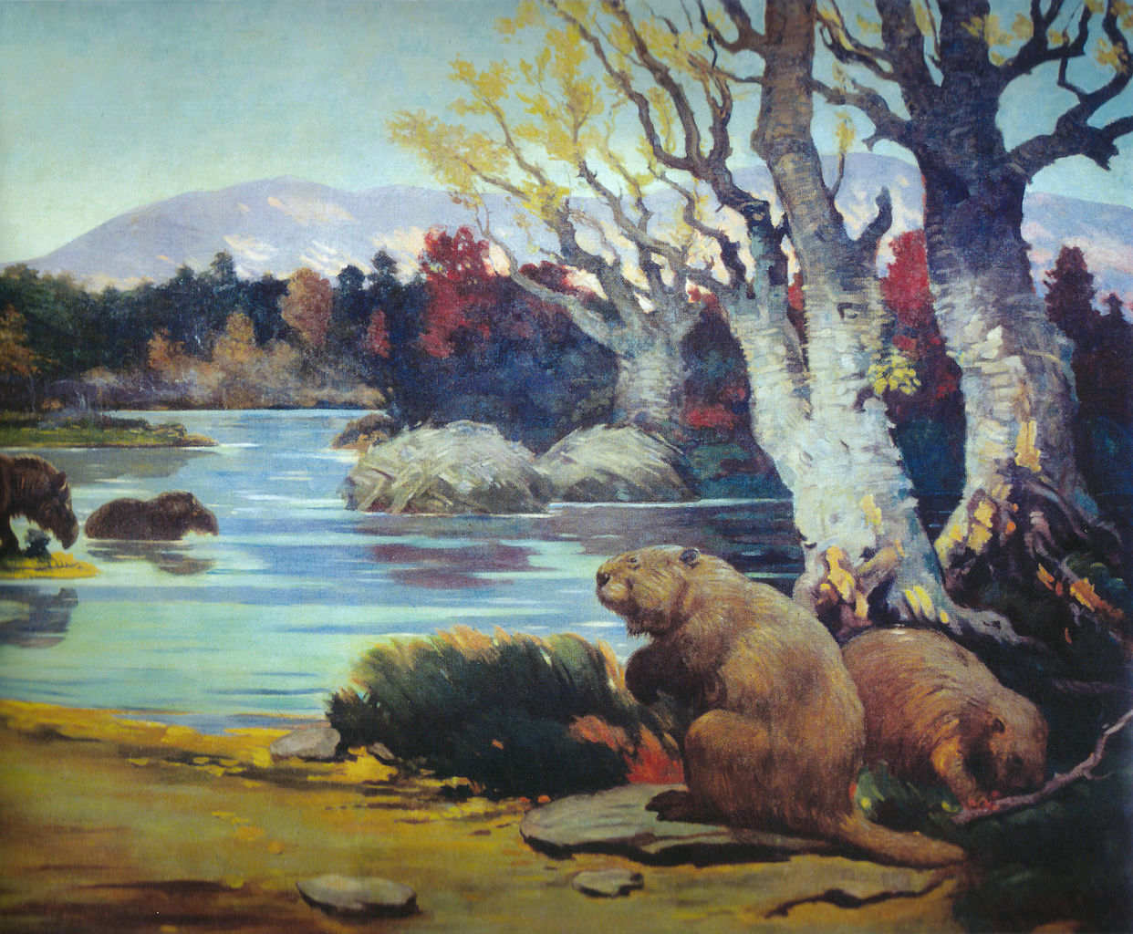 Extinct Castorides Giant Beaver Glossy Poster Picture Photo Print Banner Booma Prints