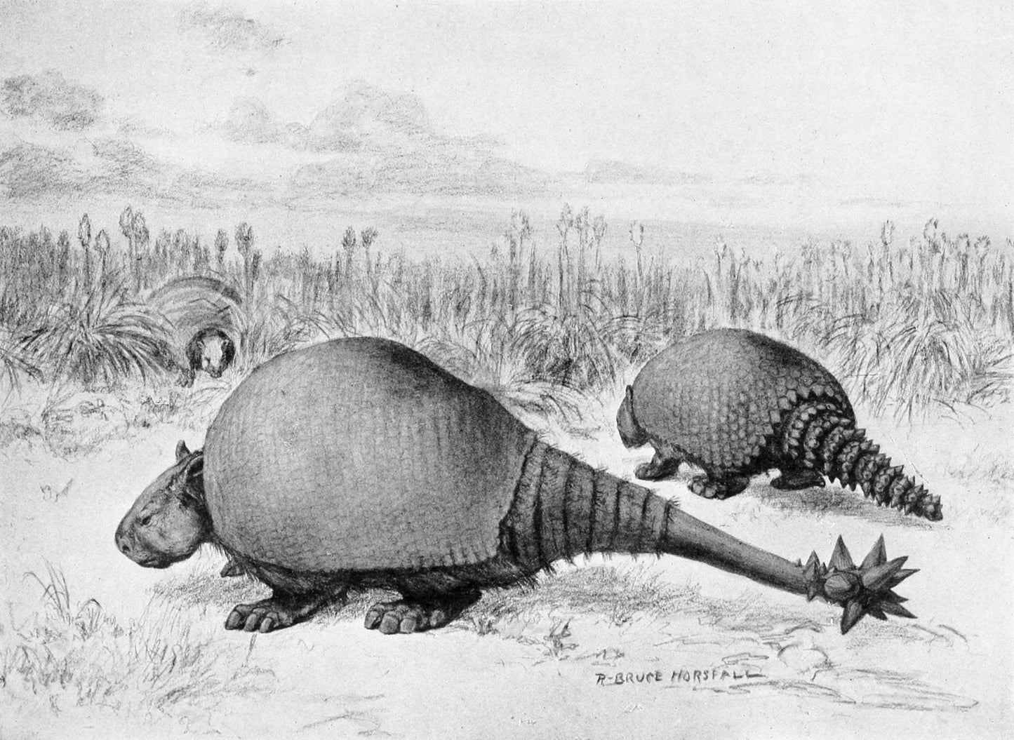 Extinct Doedicurus And Glyptodon Glossy Poster Picture Photo Print Banner Booma Prints