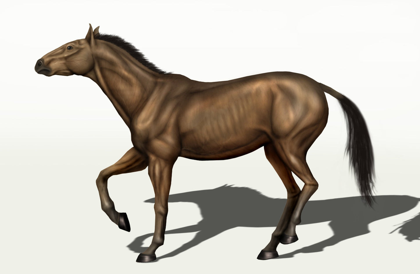 Equus Conversidens Mexican Horse Glossy Poster Picture Photo Print Banner Booma Prints