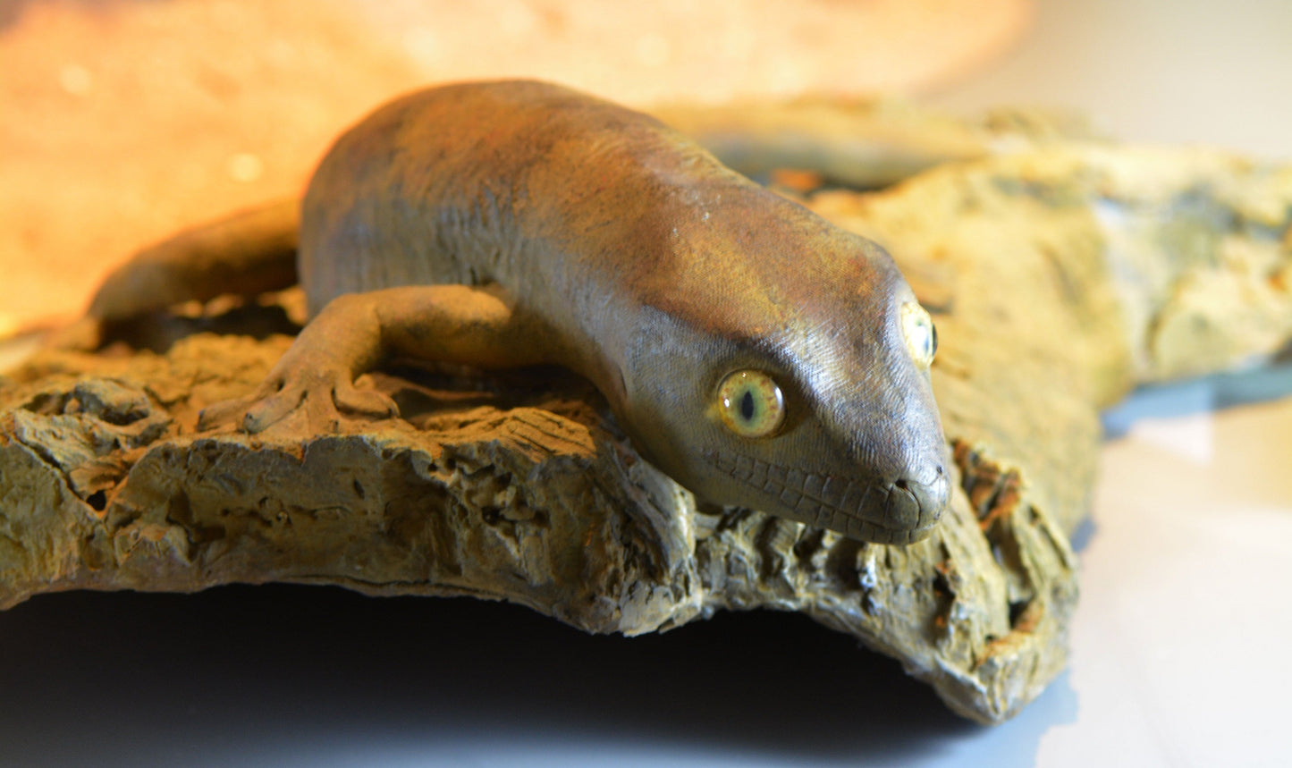 Extinct Gigarcanum Gecko Glossy Poster Picture Photo Print Banner Booma Prints