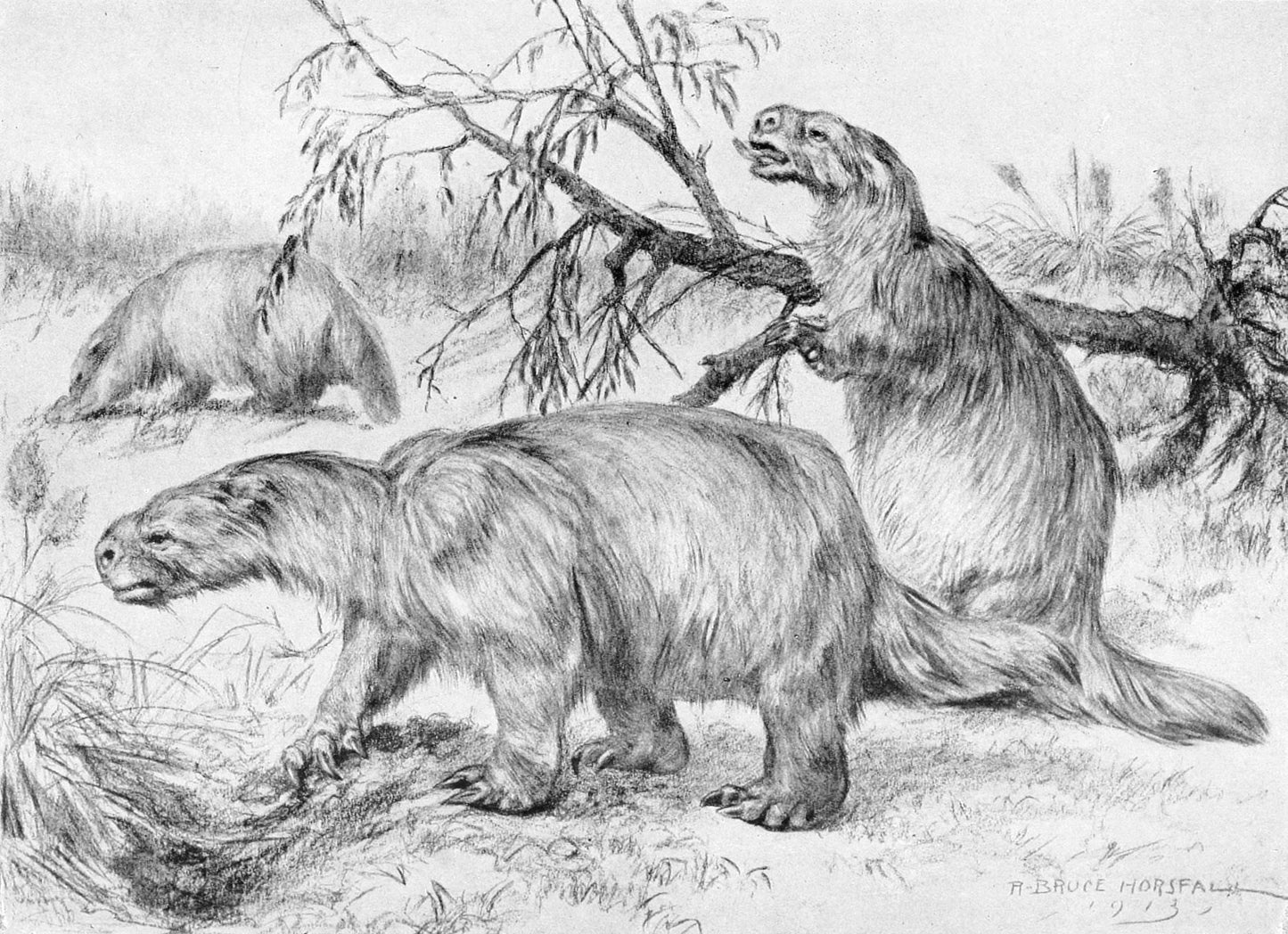 Extinct Glossotherium Sloth Glossy Poster Picture Photo Print Banner Booma Prints