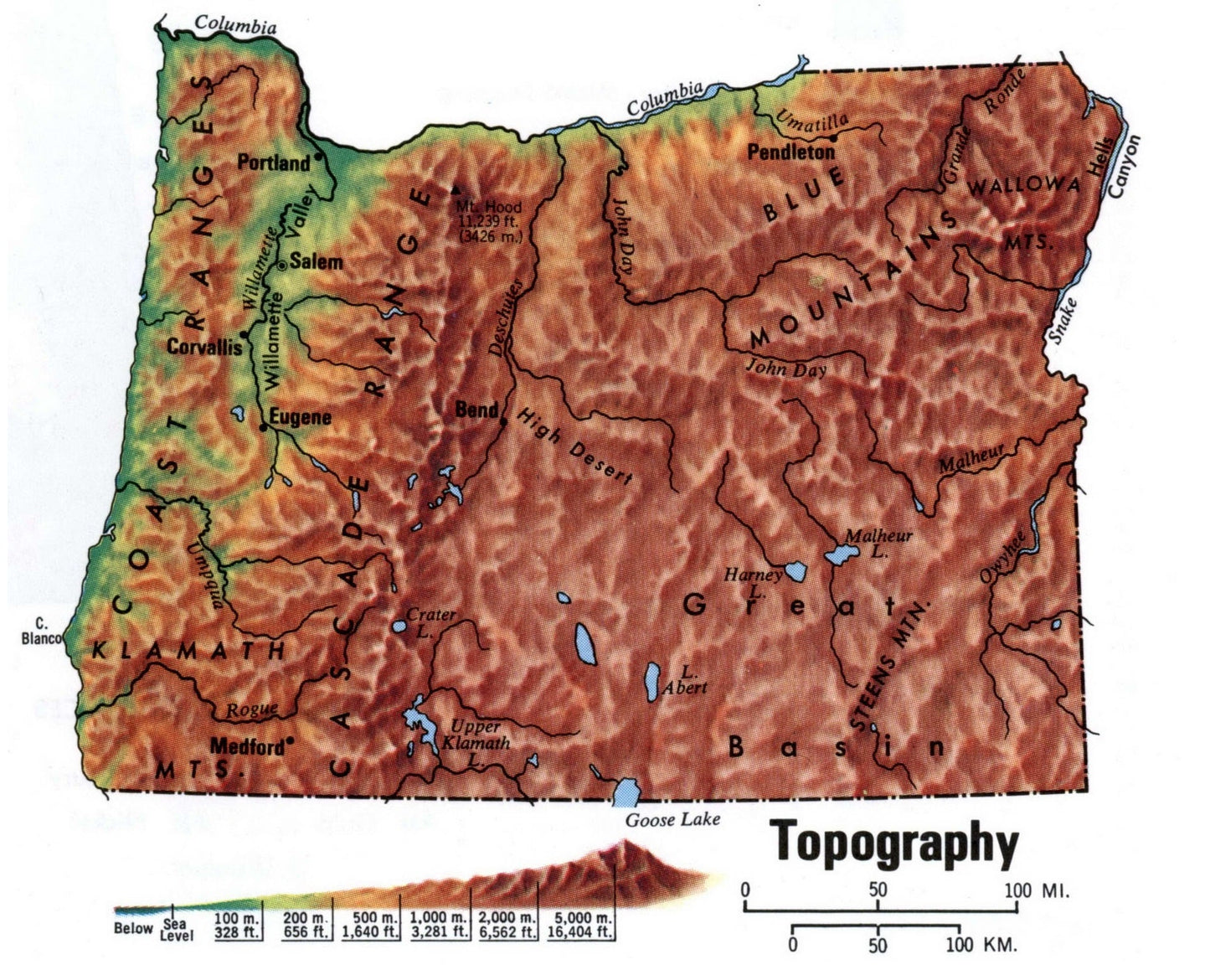 Oregon Topography Map Glossy Poster Picture Photo Print Banner Booma Prints