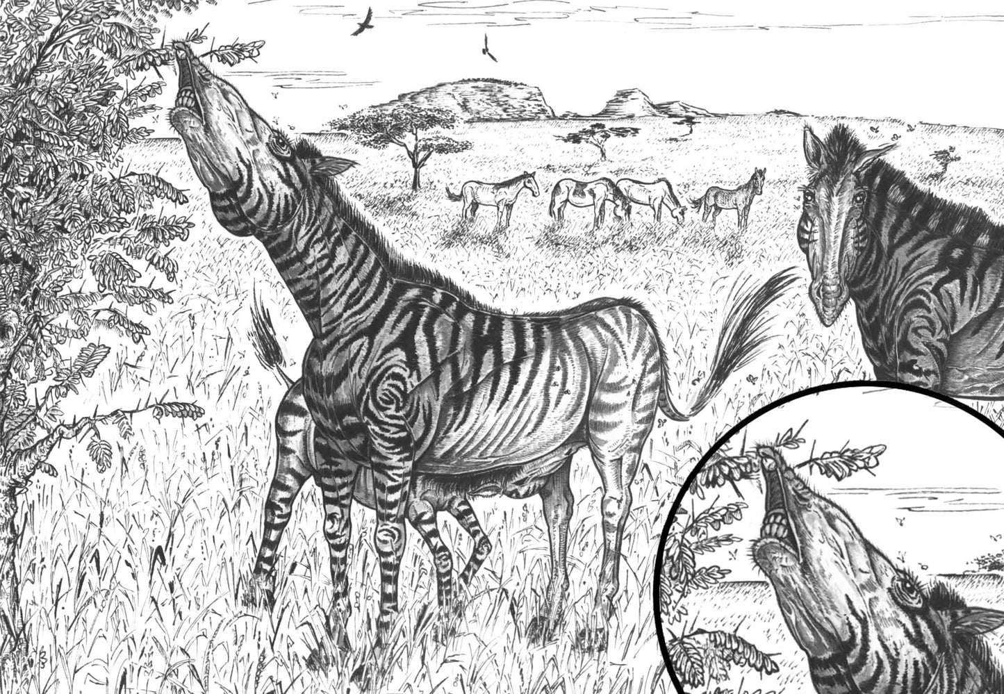 Extinct Hippidion Little Horse Glossy Poster Picture Photo Print Banner Booma Prints