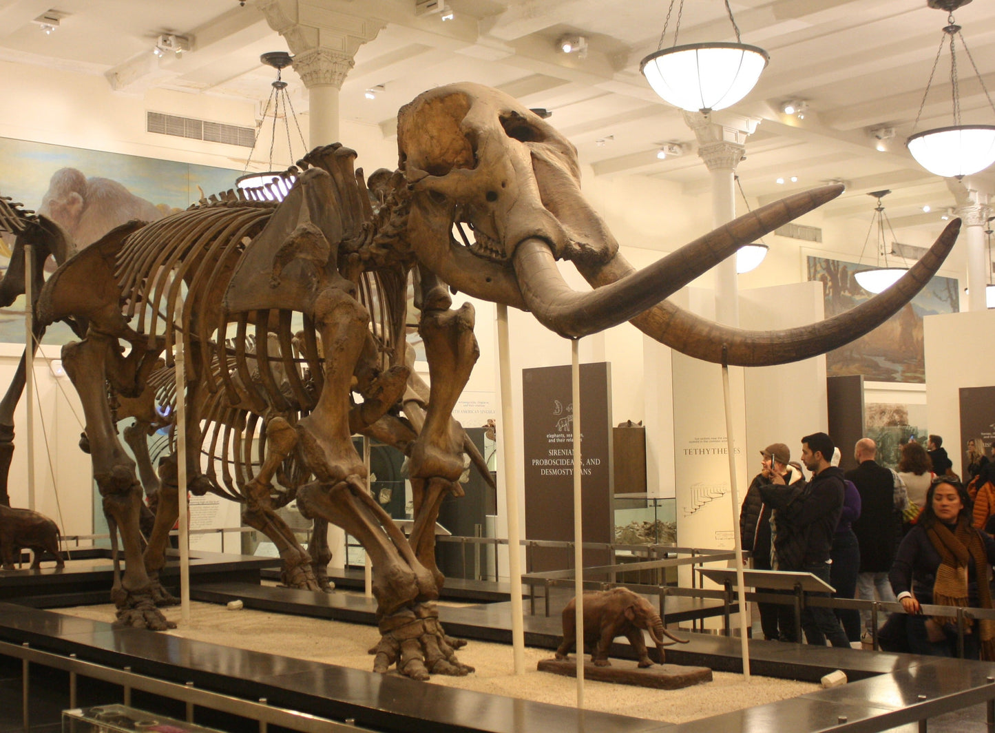 Extinct Mastodon Bones Glossy Poster Picture Photo Print Banner Booma Prints