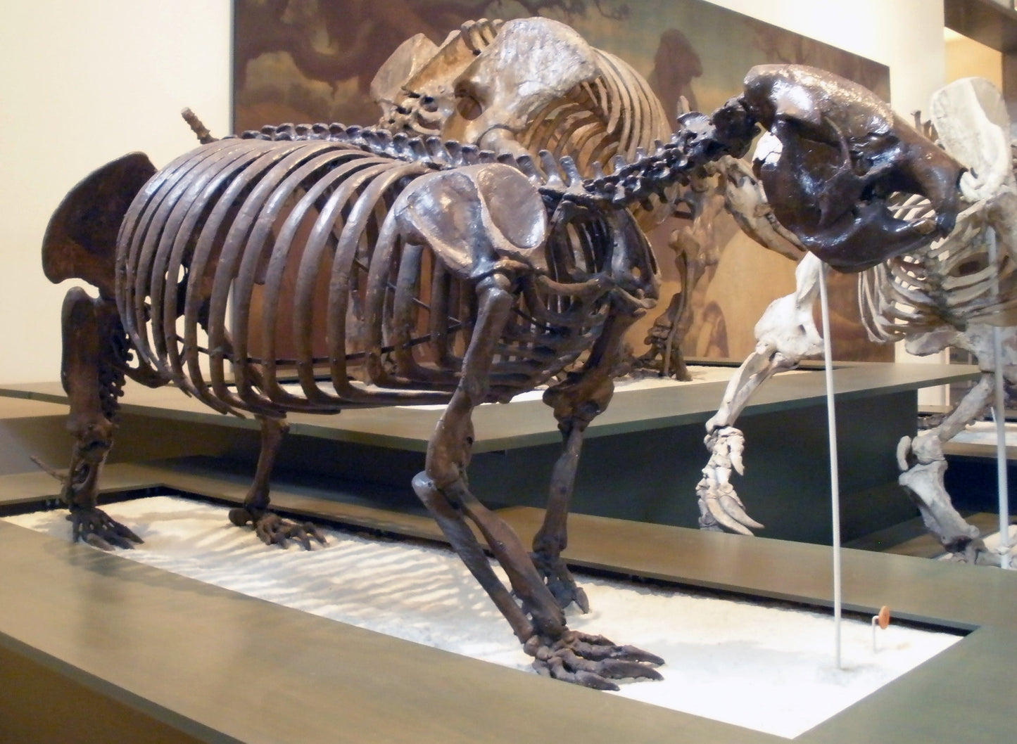 Extinct Megalocnus Ground Sloth Glossy Poster Picture Photo Print Banner Booma Prints