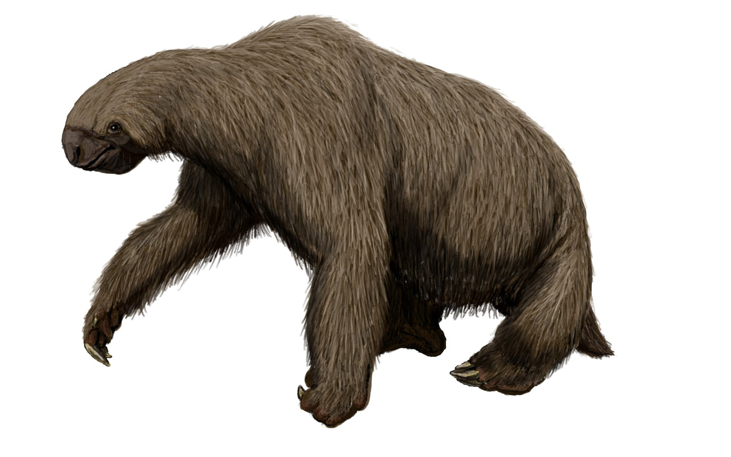 Extinct Megalonyx Ground Sloth Glossy Poster Picture Photo Print Banner Booma Prints