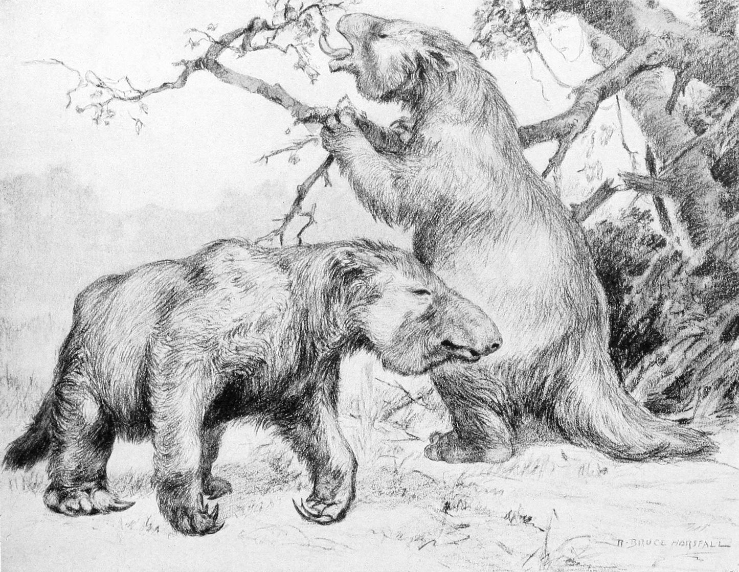 Extinct Megatherium Ground Sloth Glossy Poster Picture Photo Print Banner Booma Prints