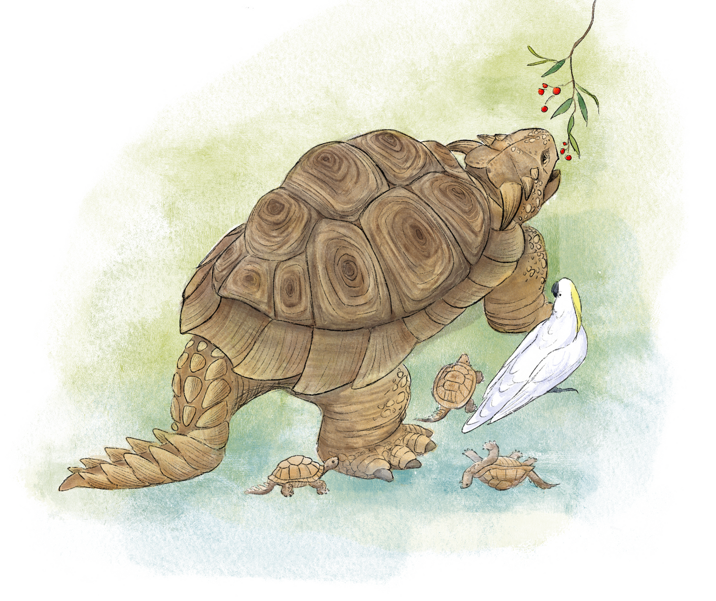 Extinct Meiolania Horned Turtle Glossy Poster Picture Photo Print Banner Booma Prints