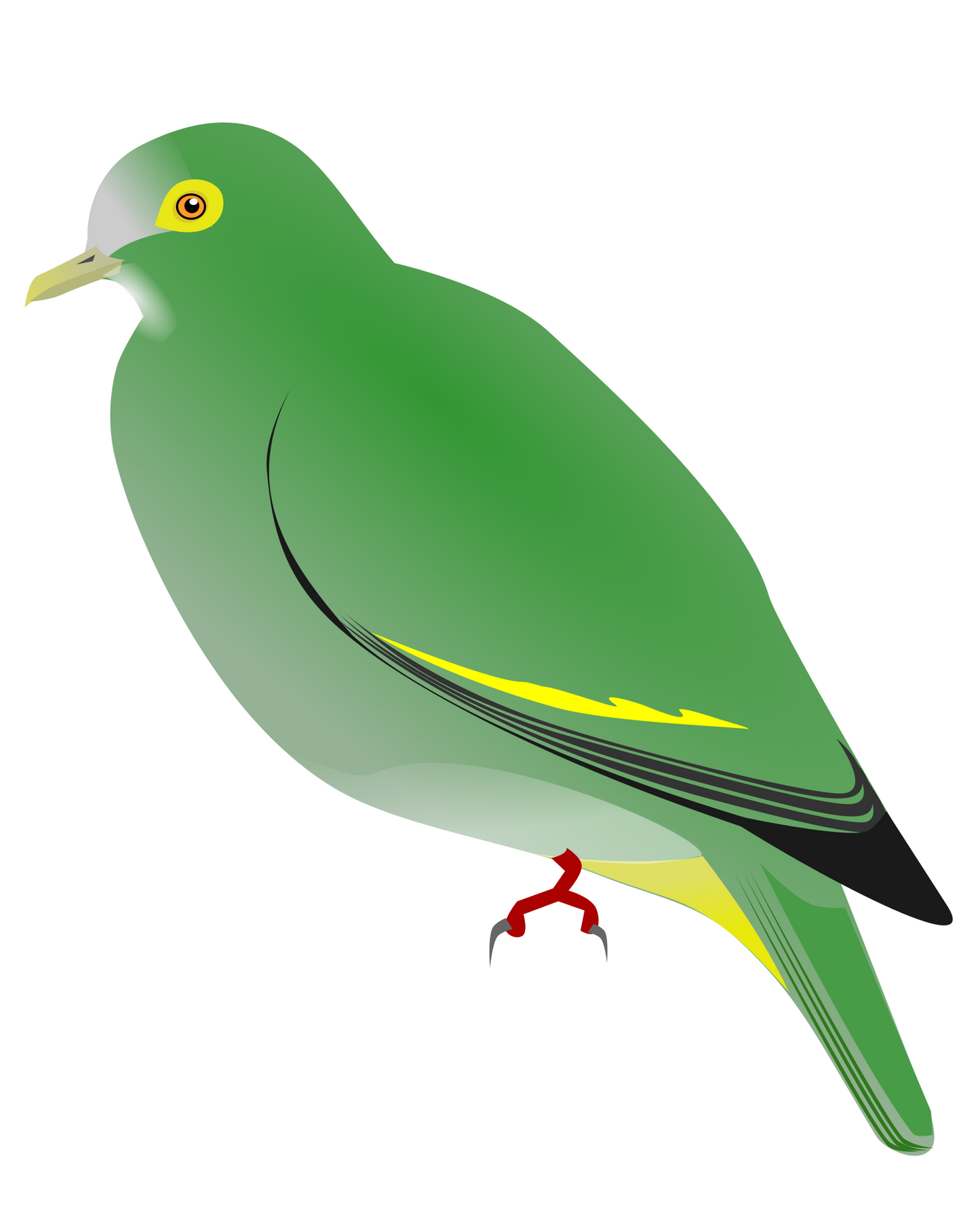 Negros Fruit Dove Green Pigeon Glossy Poster Picture Photo Print Banner Booma Prints