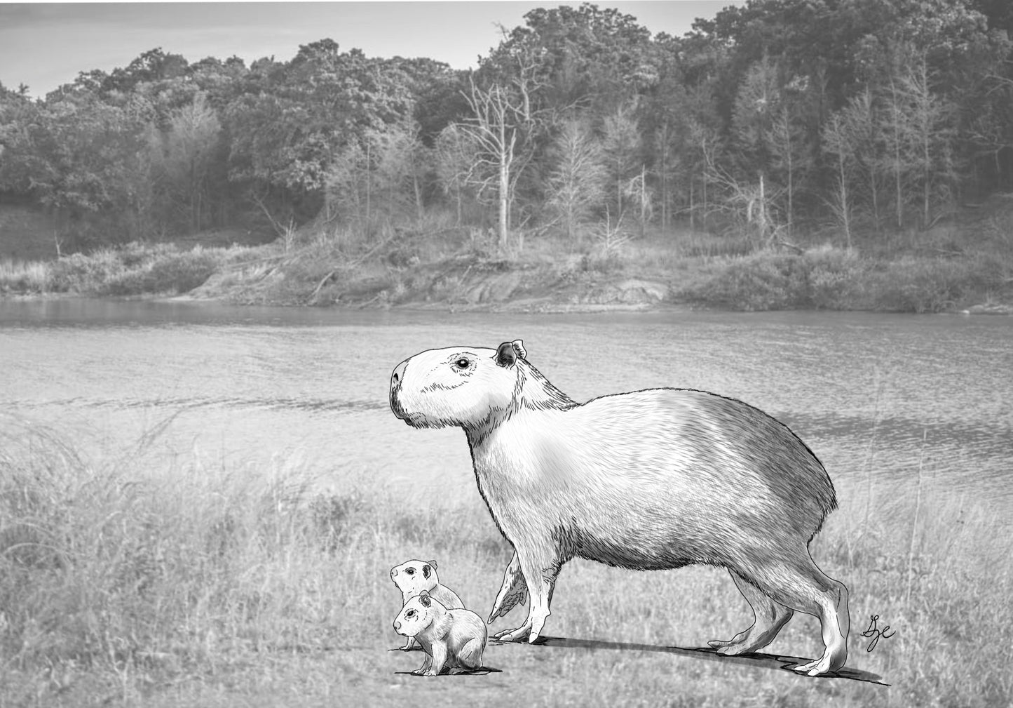 Extinct Neochoerus Capybara Glossy Poster Picture Photo Print Banner Booma Prints