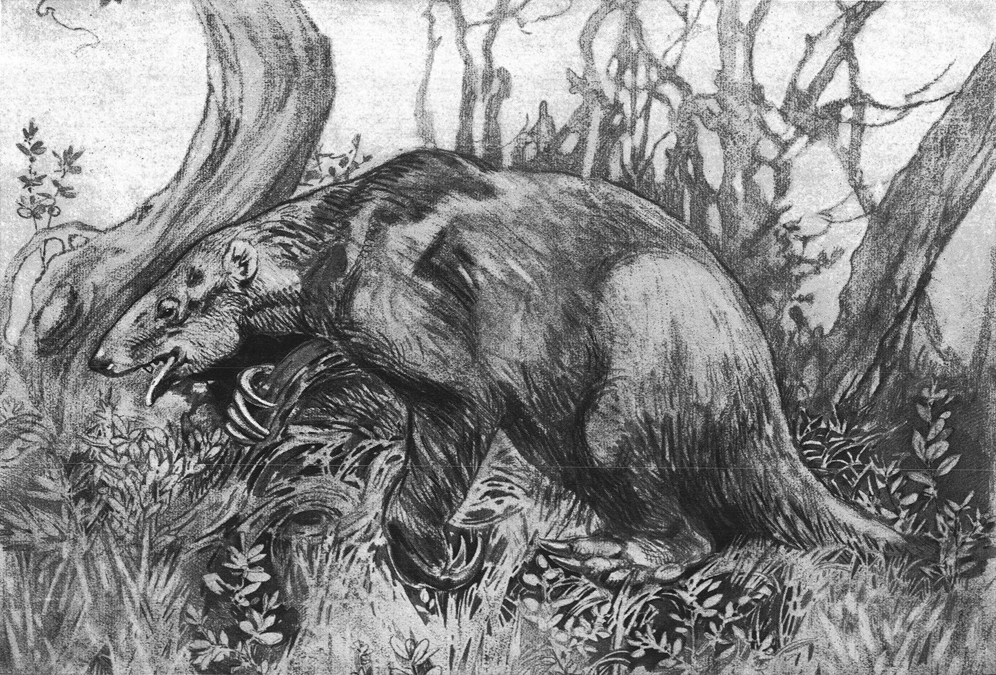 Extinct Paramylodon Sloth Glossy Poster Picture Photo Print Banner Booma Prints