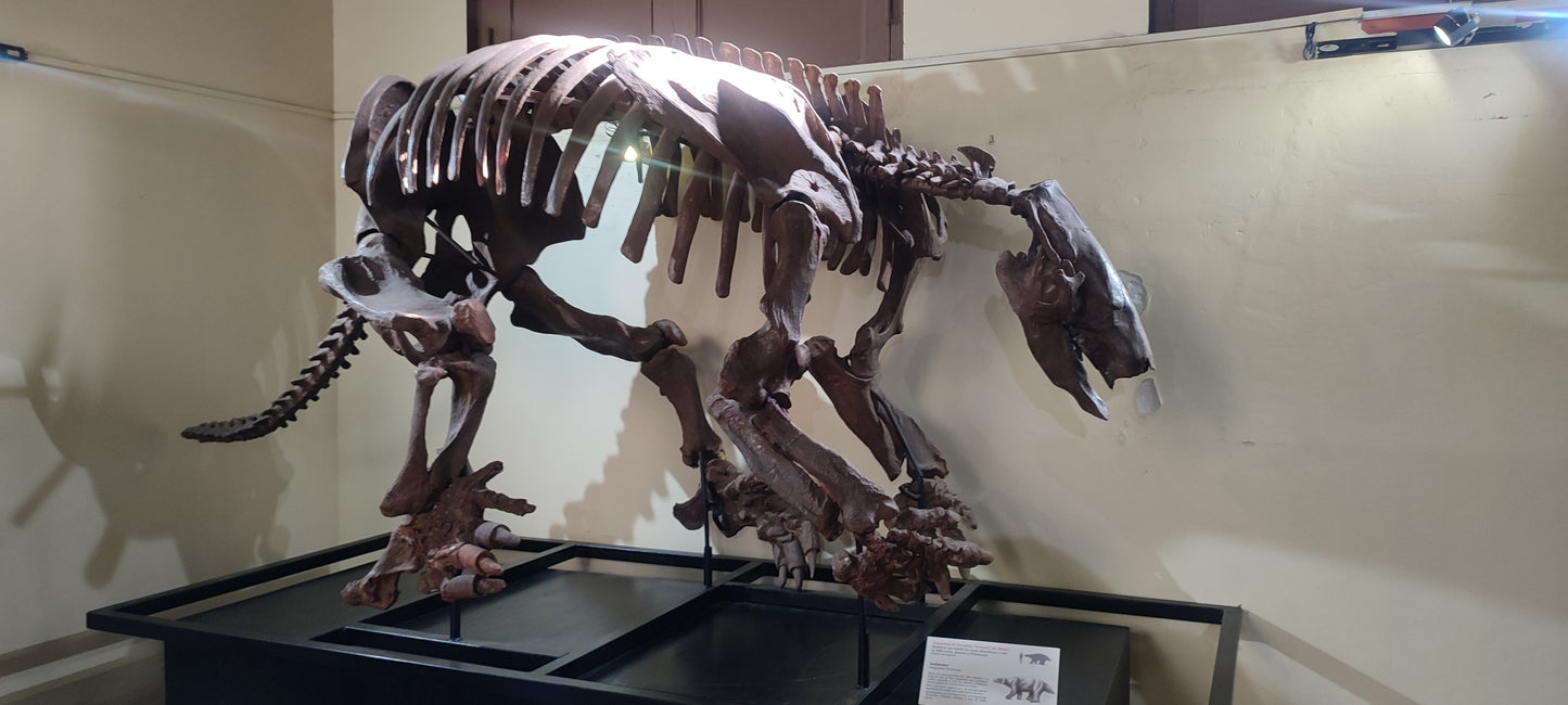Extinct Scelidodon Ground Sloth Glossy Poster Picture Photo Print Banner Booma Prints