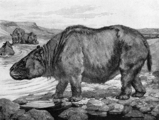 Extinct Toxodon Ungulate Glossy Poster Picture Photo Print Banner Booma Prints