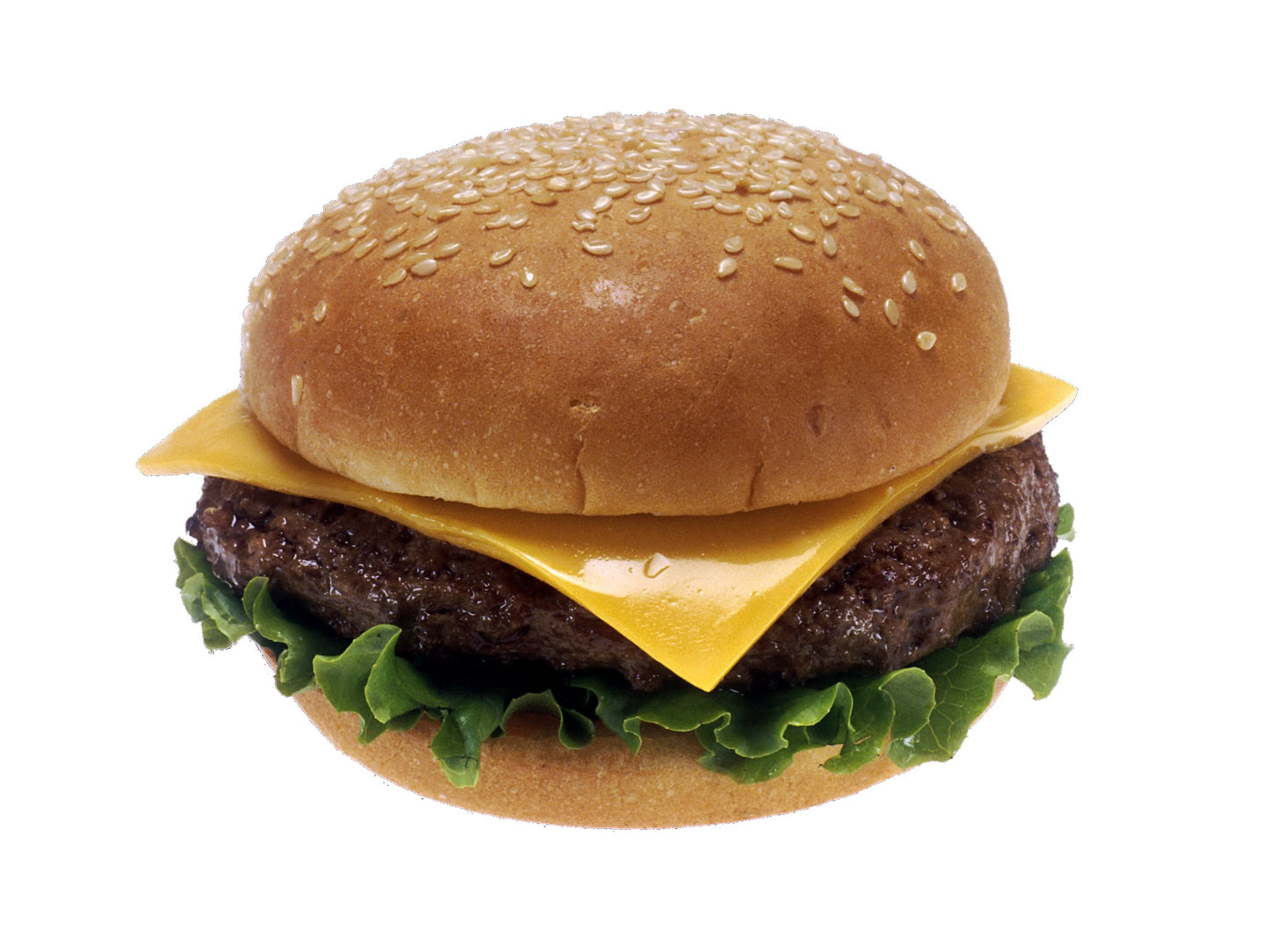 Cheeseburger Hamburger Meat Glossy Poster Picture Photo Print Banner Booma Prints
