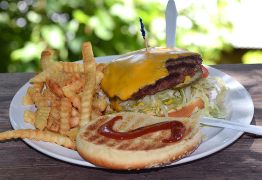 Cheeseburger With Fries Burger Glossy Poster Picture Photo Print Banner Booma Prints