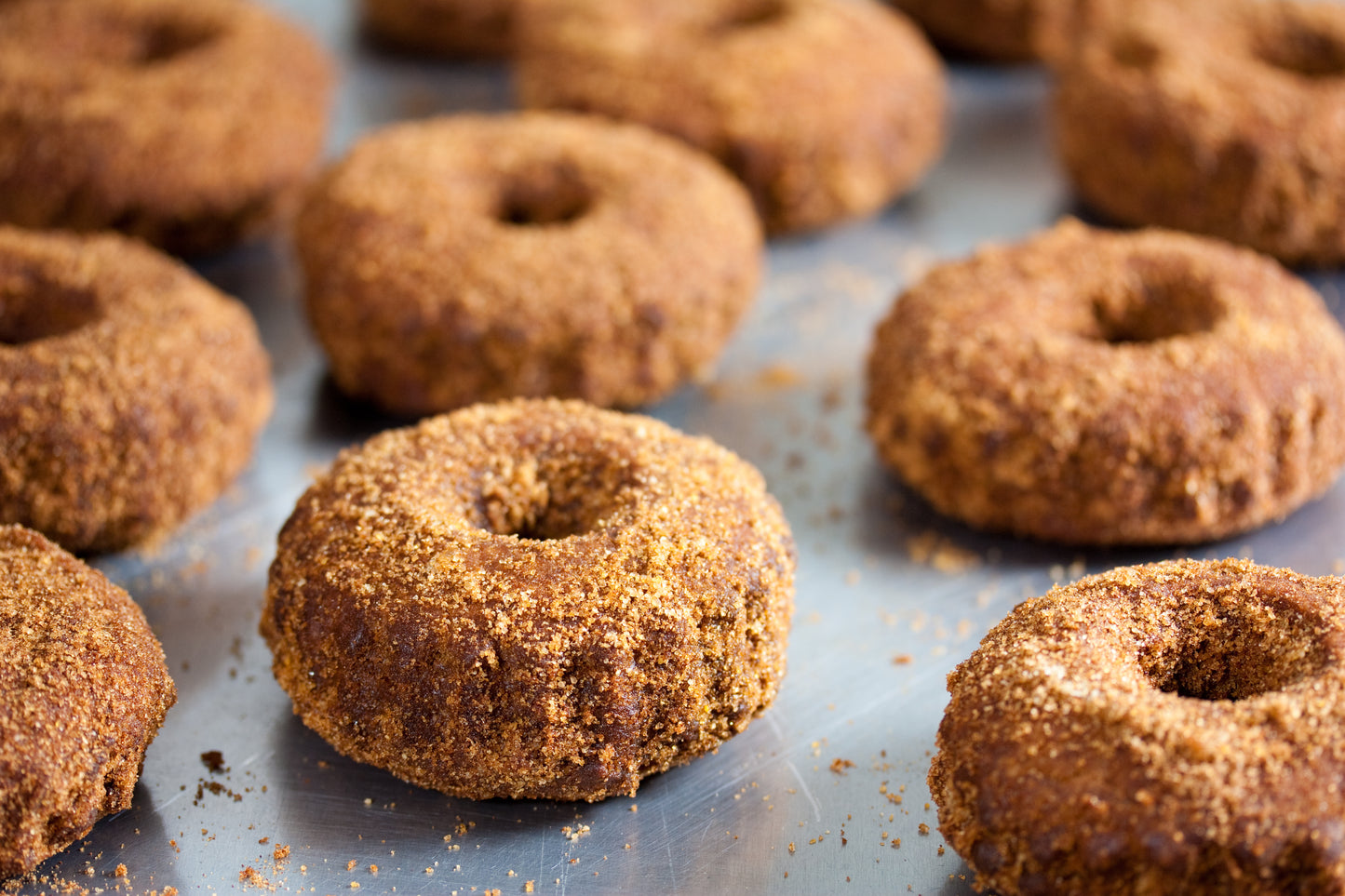 Vegan Apple Cider Doughnut Donut Glossy Poster Picture Photo Print Banner Booma Prints