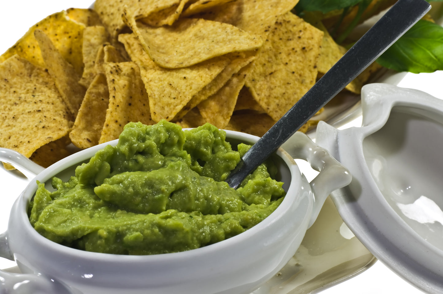 Guacamole And Chips Guac Dip Glossy Poster Picture Photo Print Banner Booma Prints