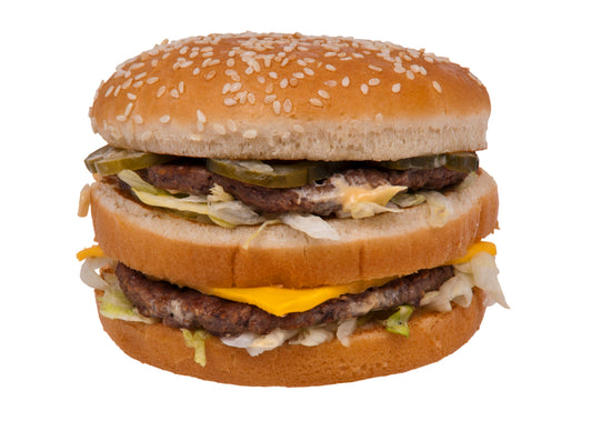 Hamburger Cheeseburger Glossy Poster Picture Photo Print Banner Booma Prints