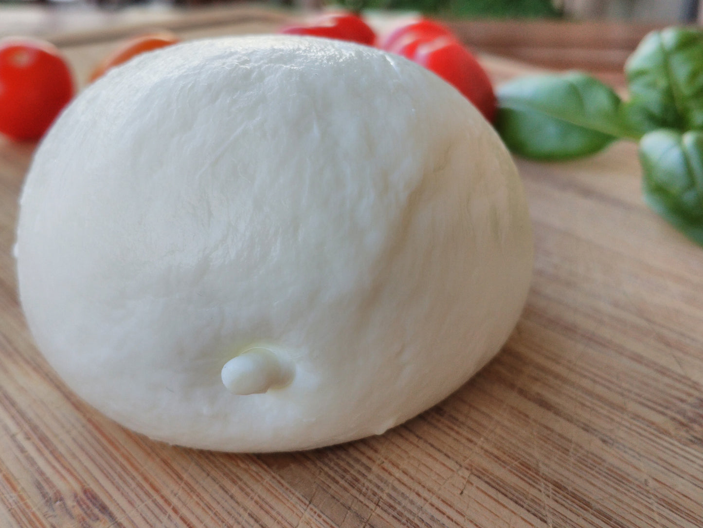 Mozzarella Cheese Ball Bufala Glossy Poster Picture Photo Print Banner Booma Prints