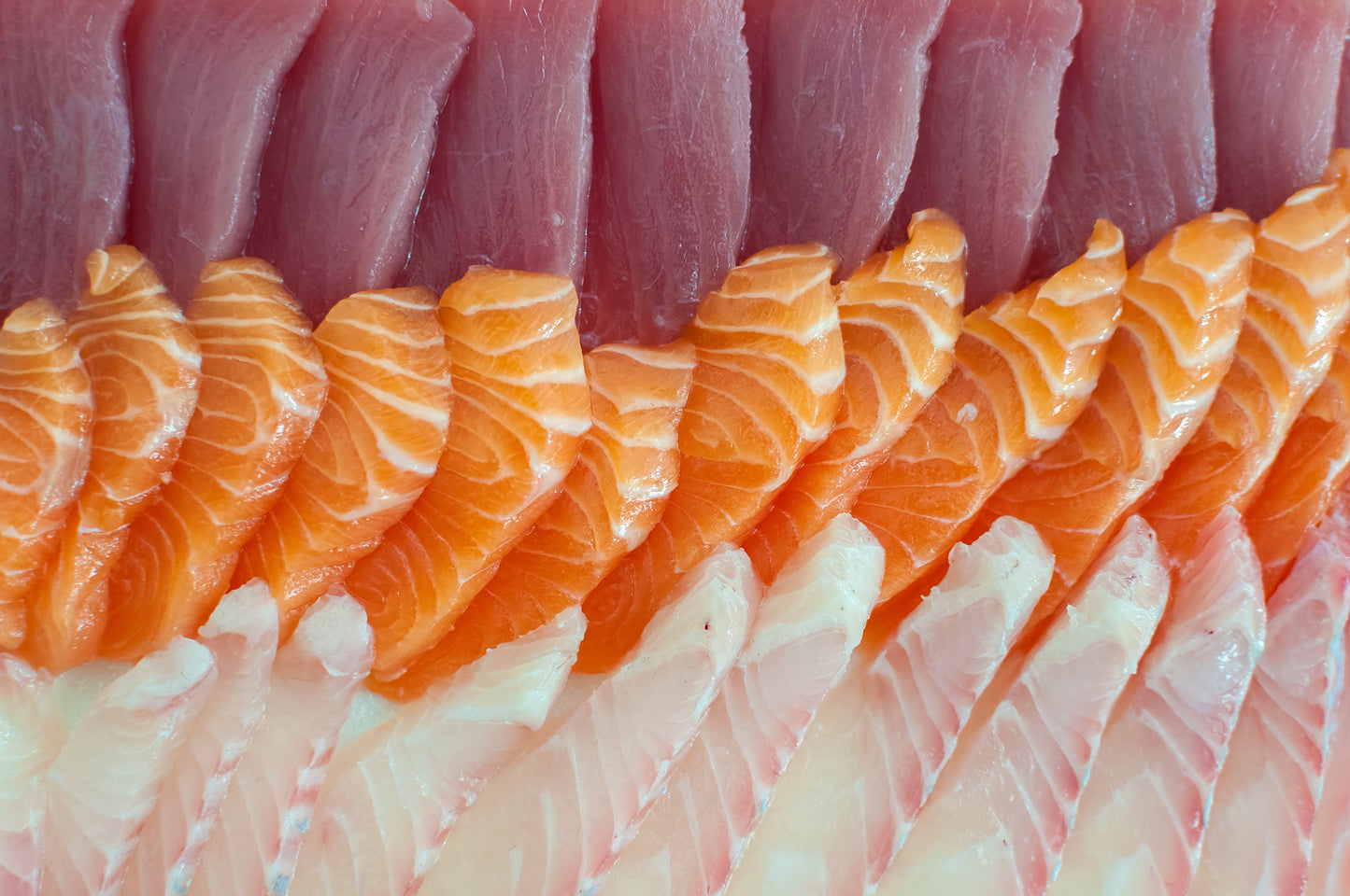Sashimi Sao Paulo Brazil Glossy Poster Picture Photo Print Banner Booma Prints