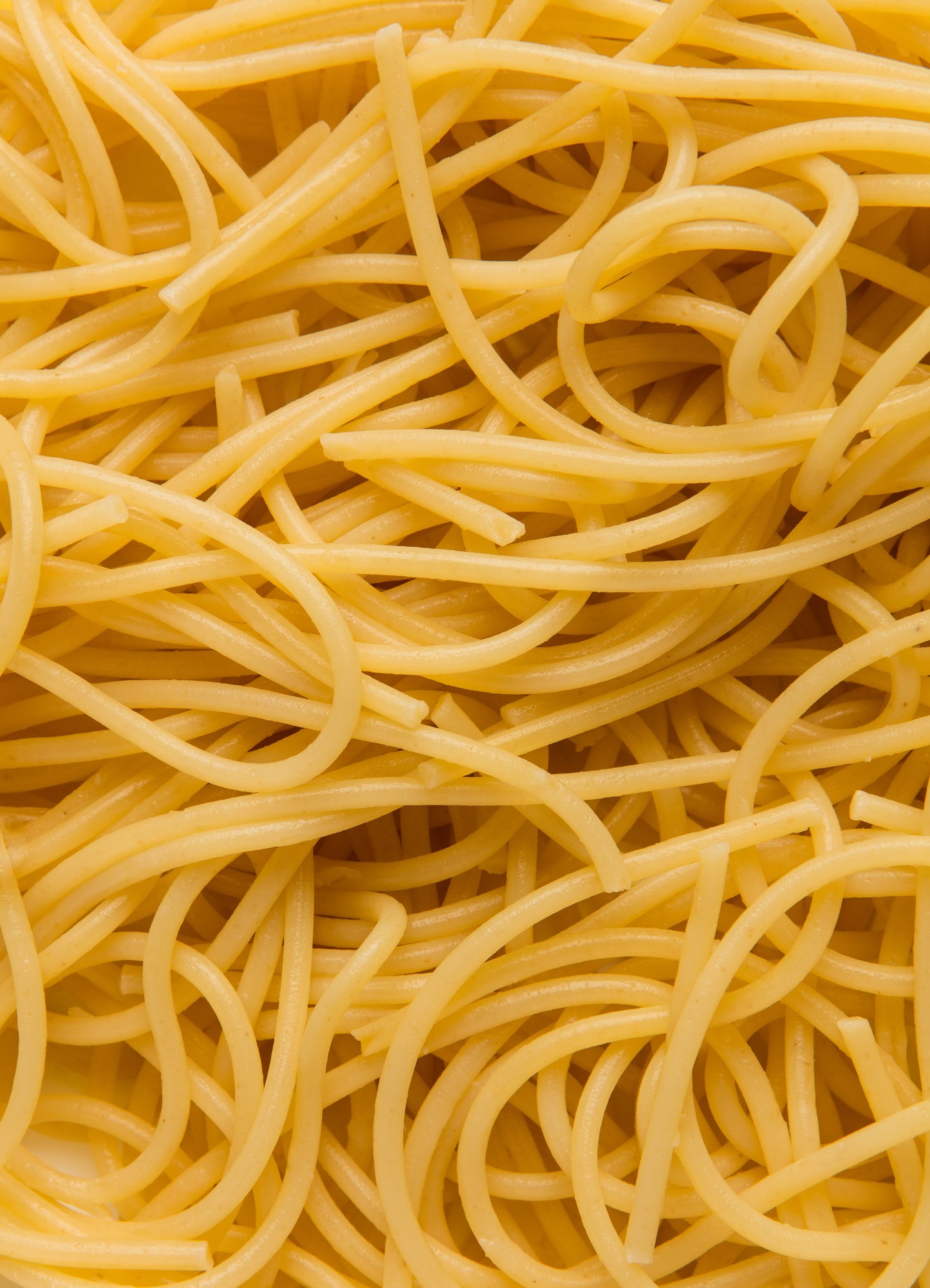 Cooked Spaghetti Noodles Glossy Poster Picture Photo Print Banner Booma Prints