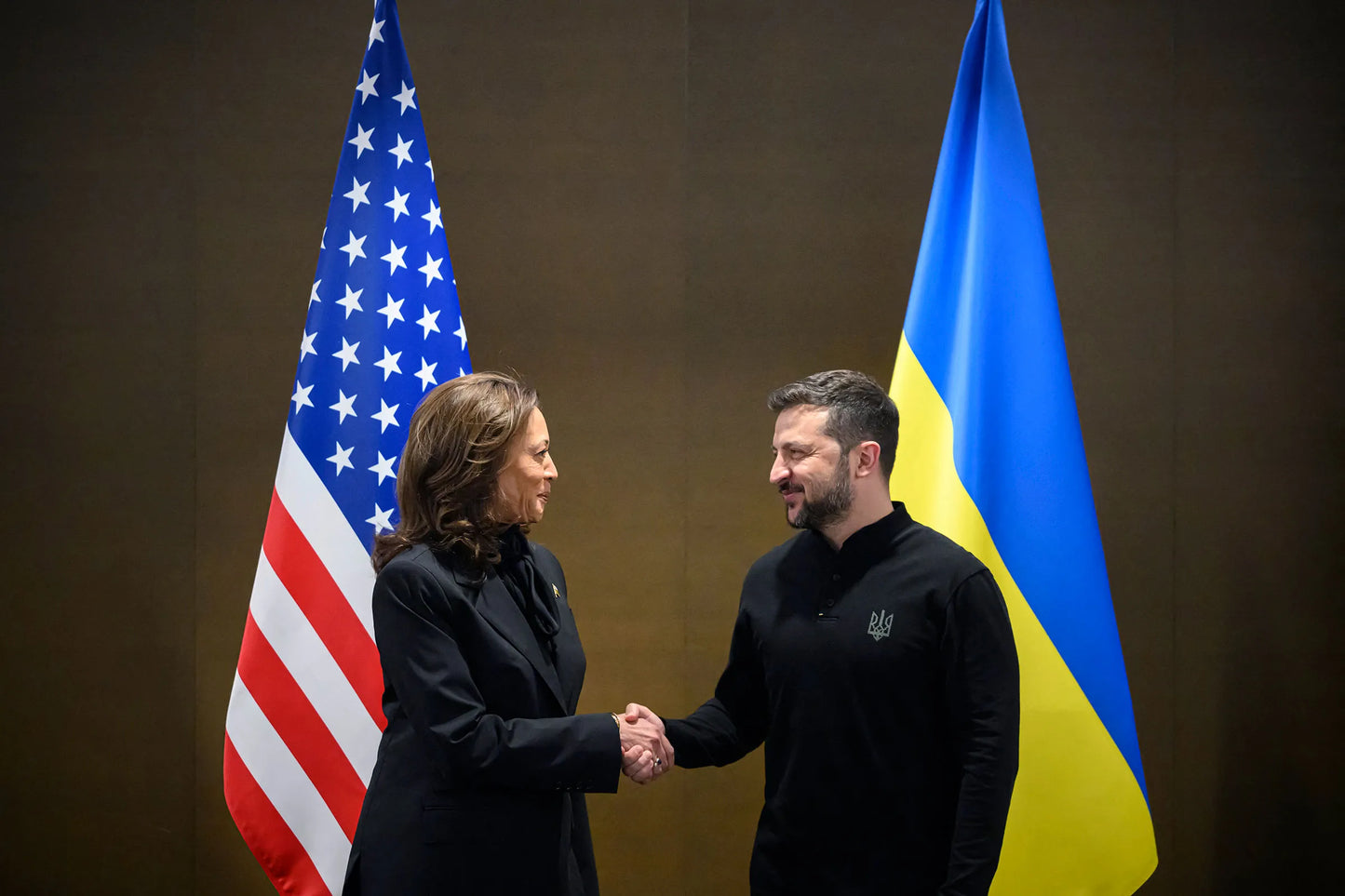Zelenskyy Kamala Harris Ukraine Glossy Poster Picture Photo Print Banner Booma Prints