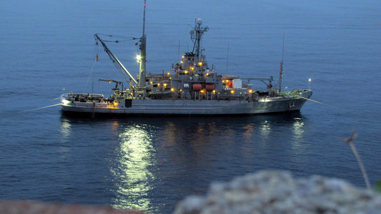 Usns Grapple Salvage Navy Ship Glossy Poster Picture Photo Print Banner Booma Prints