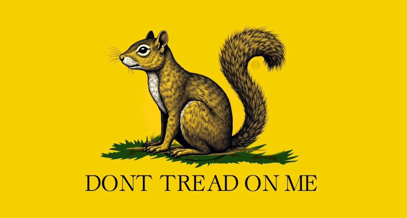 Don’T Tread On Me Squirel Peanut Glossy Poster Picture Photo Print Banner Booma Prints