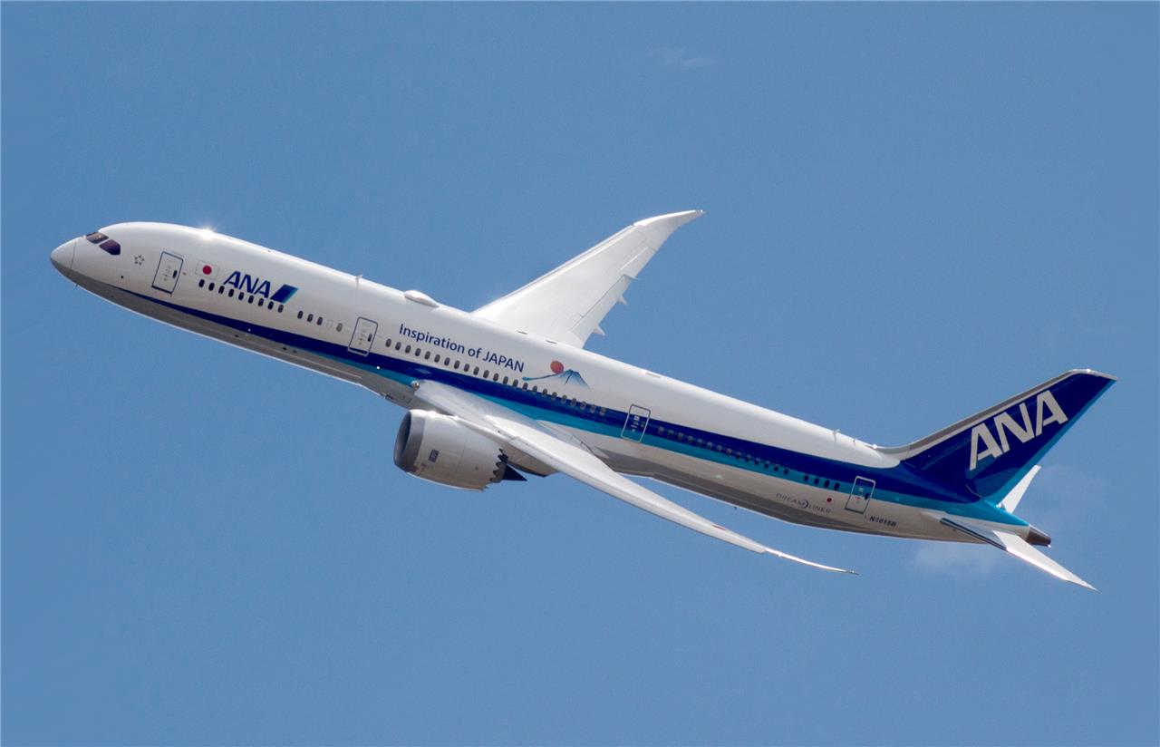Boeing 787 Dreamliner Plane Glossy Poster Picture Photo Print Banner Booma Prints