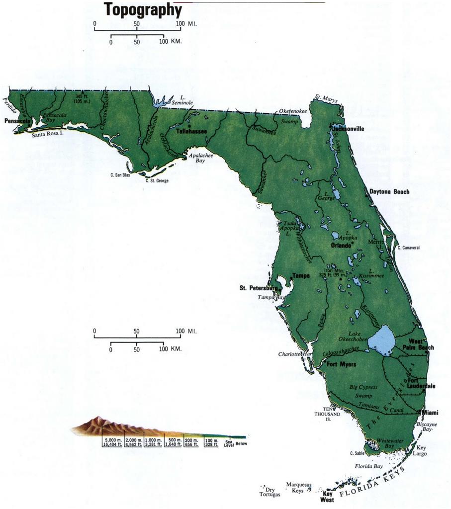 Florida Topography Map Glossy Poster Picture Photo Print Banner Fl Usa Booma Prints