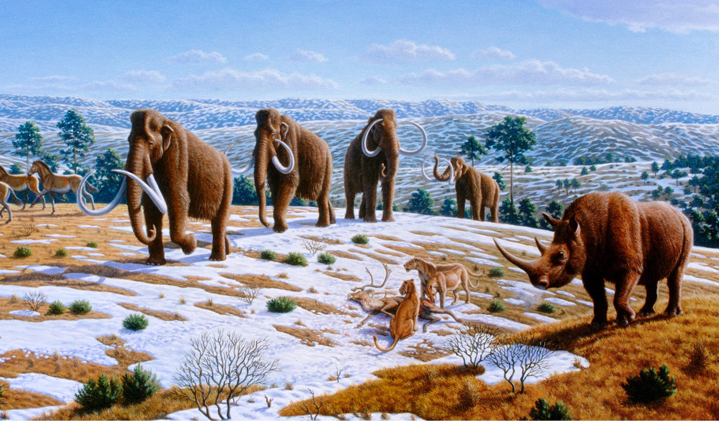 Wolly Mammoths Herd Glossy Poster Picture Photo Print Banner Booma Prints