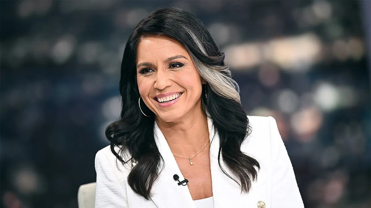 Tulsi Gabbard Interview Dni Glossy Poster Picture Photo Print Banner Booma Prints