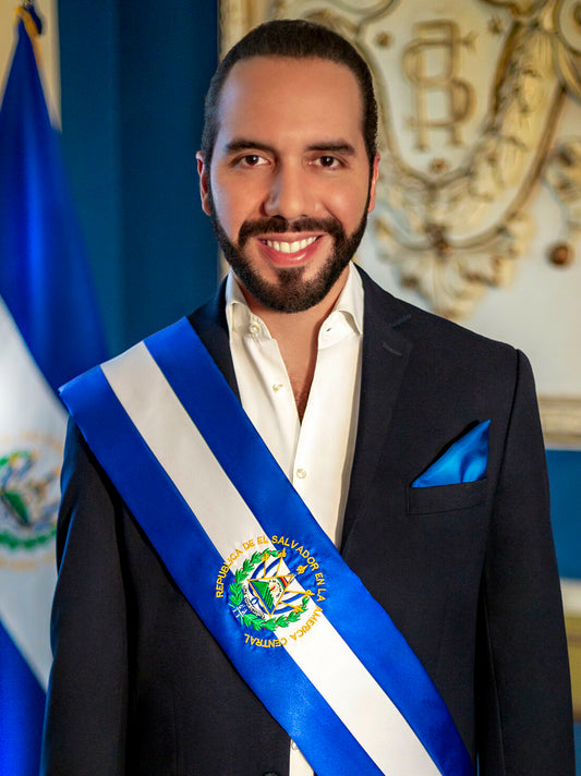 Nayib Bukele El Salvador Pres Glossy Poster Picture Photo Print Banner Booma Prints