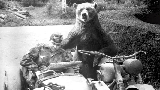 Wojtek Bear Ww1 Wwi Poland Bike Glossy Poster Picture Photo Print Banner Booma Prints