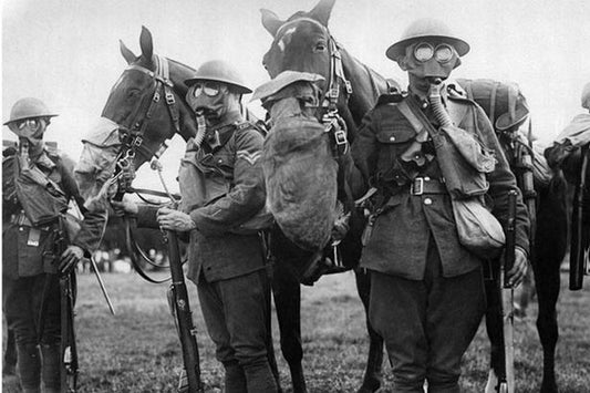 Wwi Horse Gas Mask Donkey Ww1 Glossy Poster Picture Photo Print Banner Booma Prints