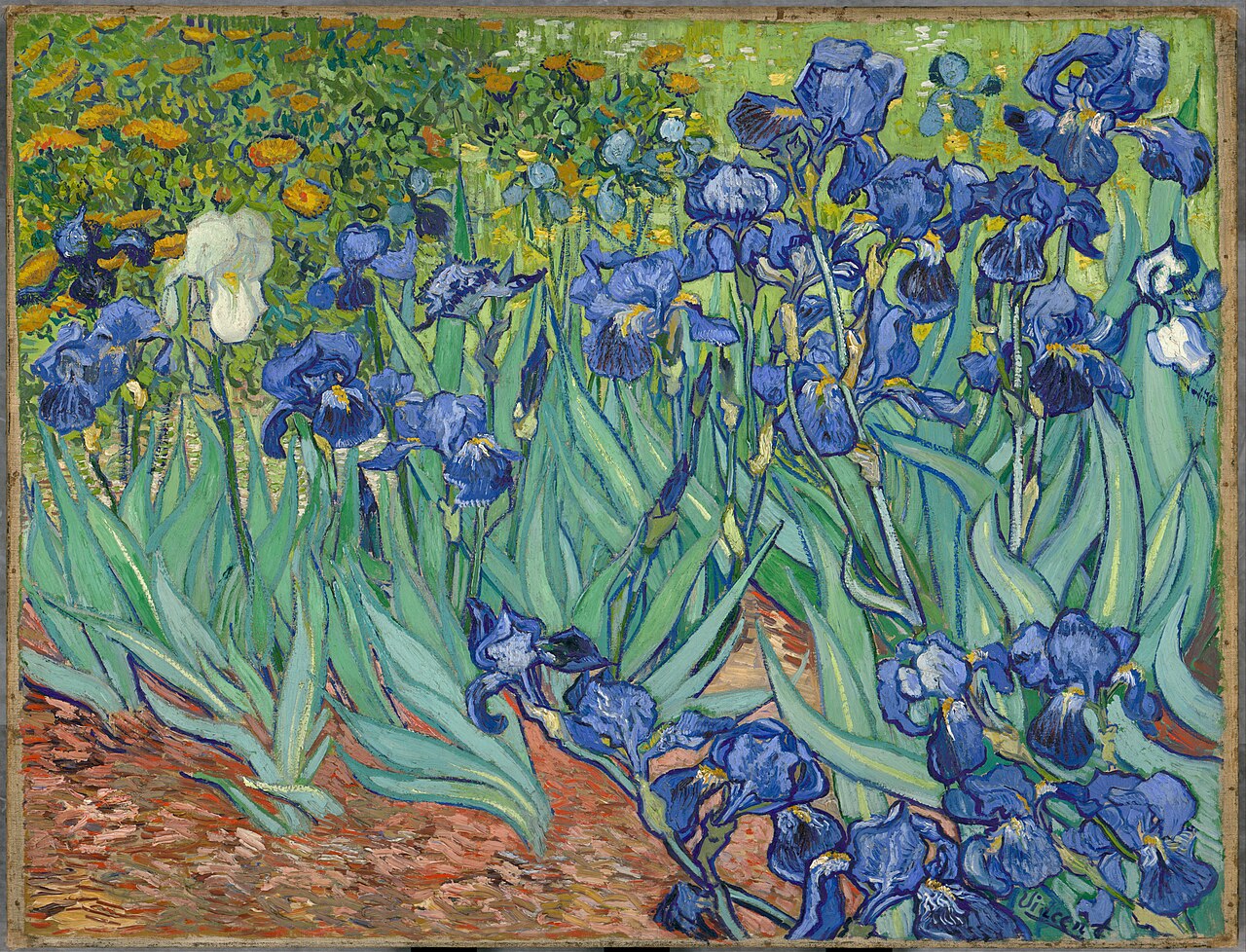 Van Gogh Irises Glossy Poster Picture Photo Print Banner  Booma Prints