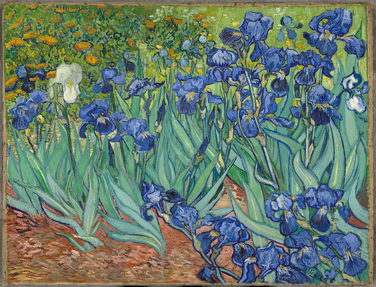 Van Gogh Irises Glossy Poster Picture Photo Print Banner  Booma Prints