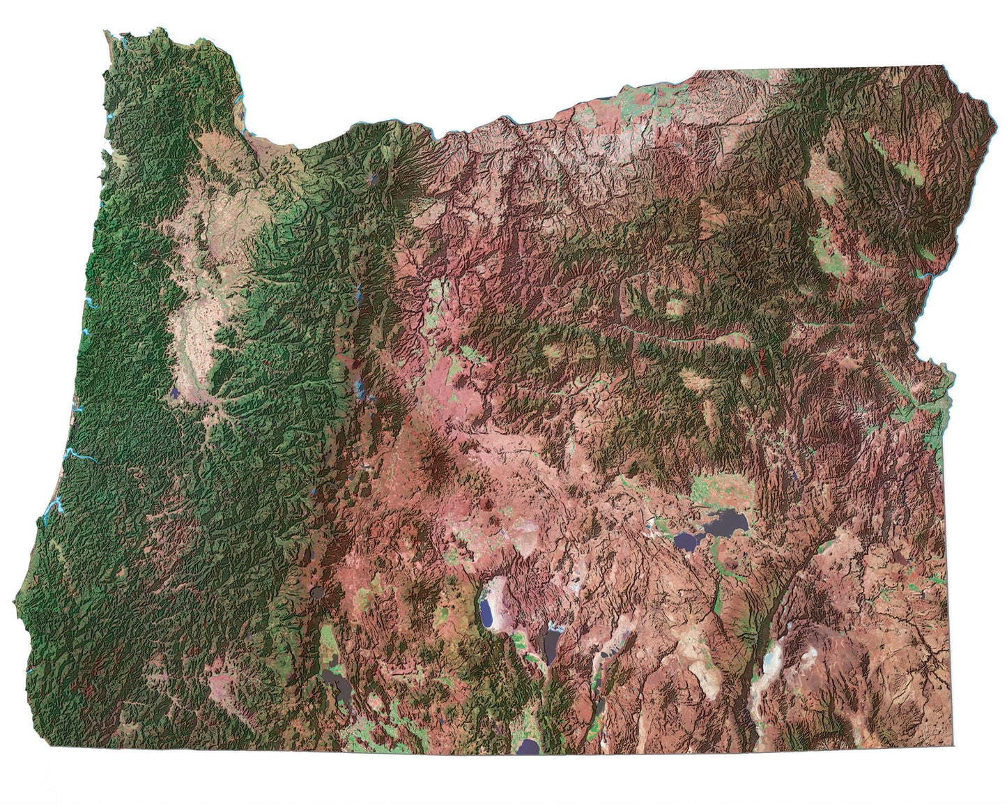 Oregon Satellite Map Glossy Poster Picture Photo Print Banner  Booma Prints