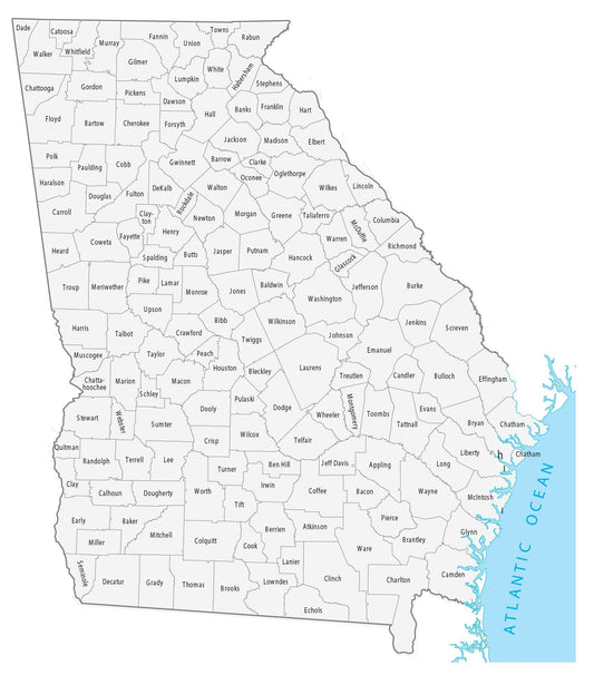 Georgia County Map Glossy Poster Picture Photo Print Banner  Booma Prints