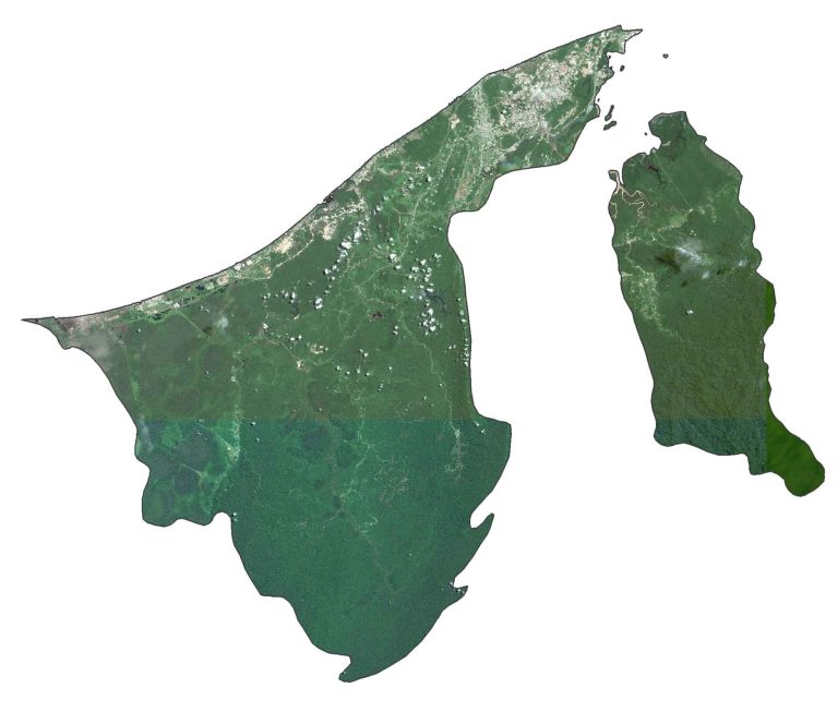 Brunei Satellite Map Glossy Poster Picture Photo Print Banner  Booma Prints