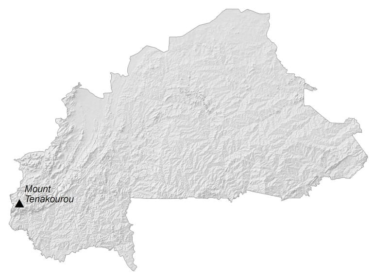 Burkina Faso Elevation Map Glossy Poster Picture Photo Print Banner  Booma Prints