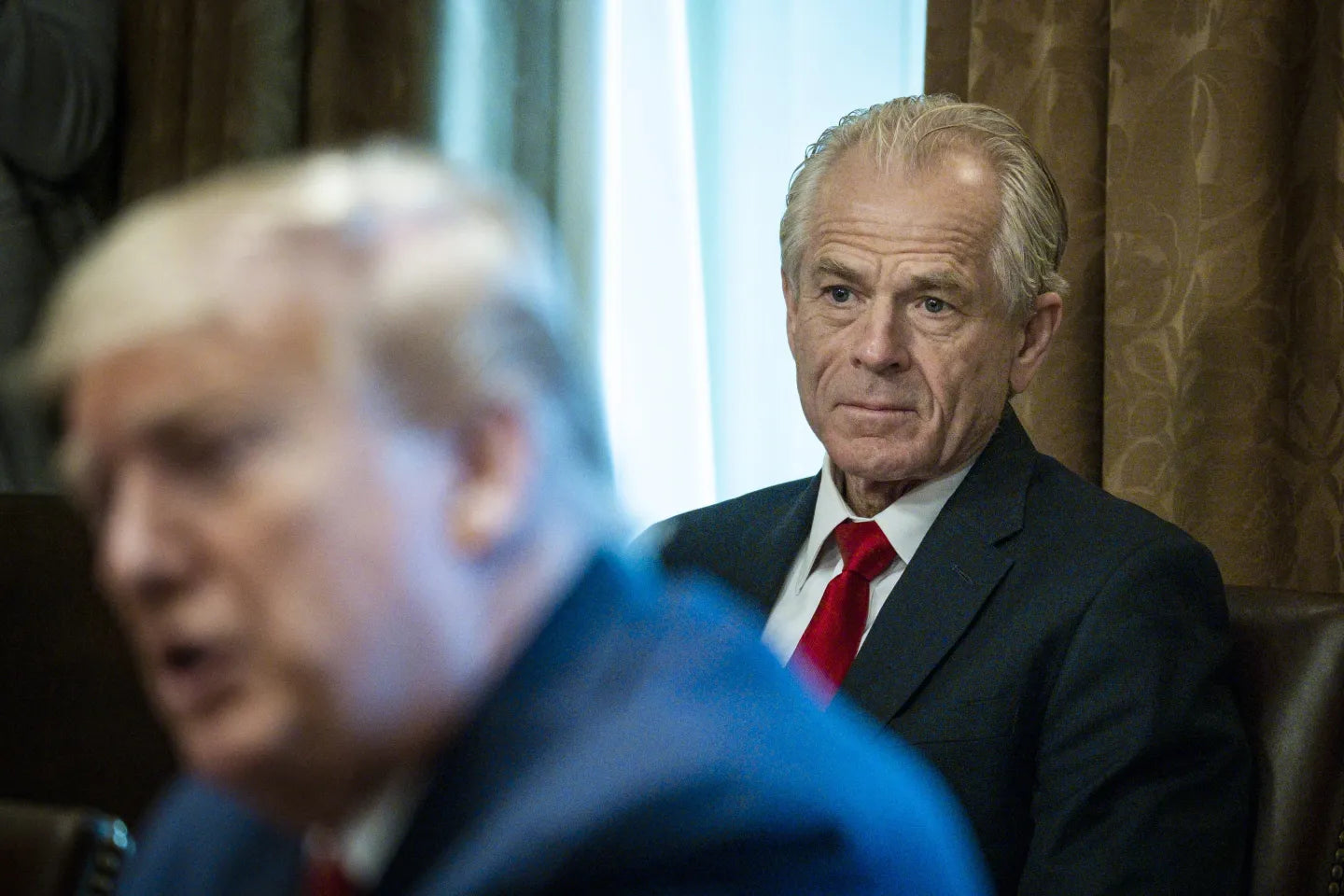 Peter Navarro Trump Glossy Poster Picture Photo Print Banner  Booma Prints