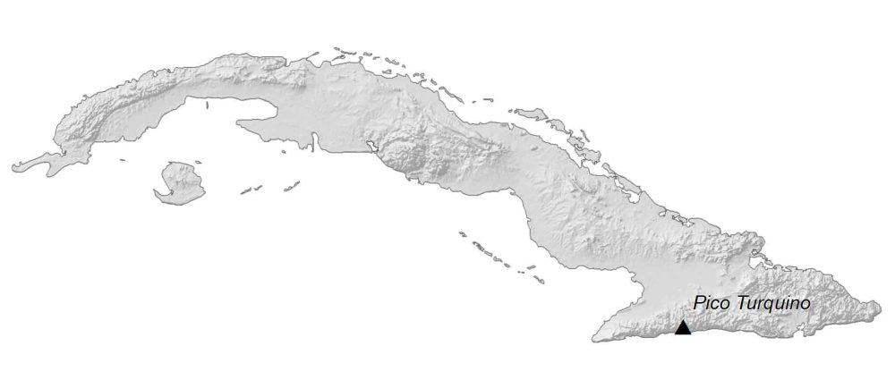 Cuba Elevation Map Glossy Poster Picture Photo Print Banner  Booma Prints