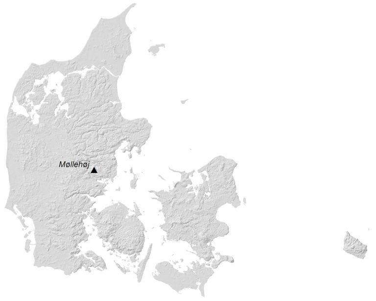 Denmark Elevation Map Glossy Poster Picture Photo Print Banner  Booma Prints