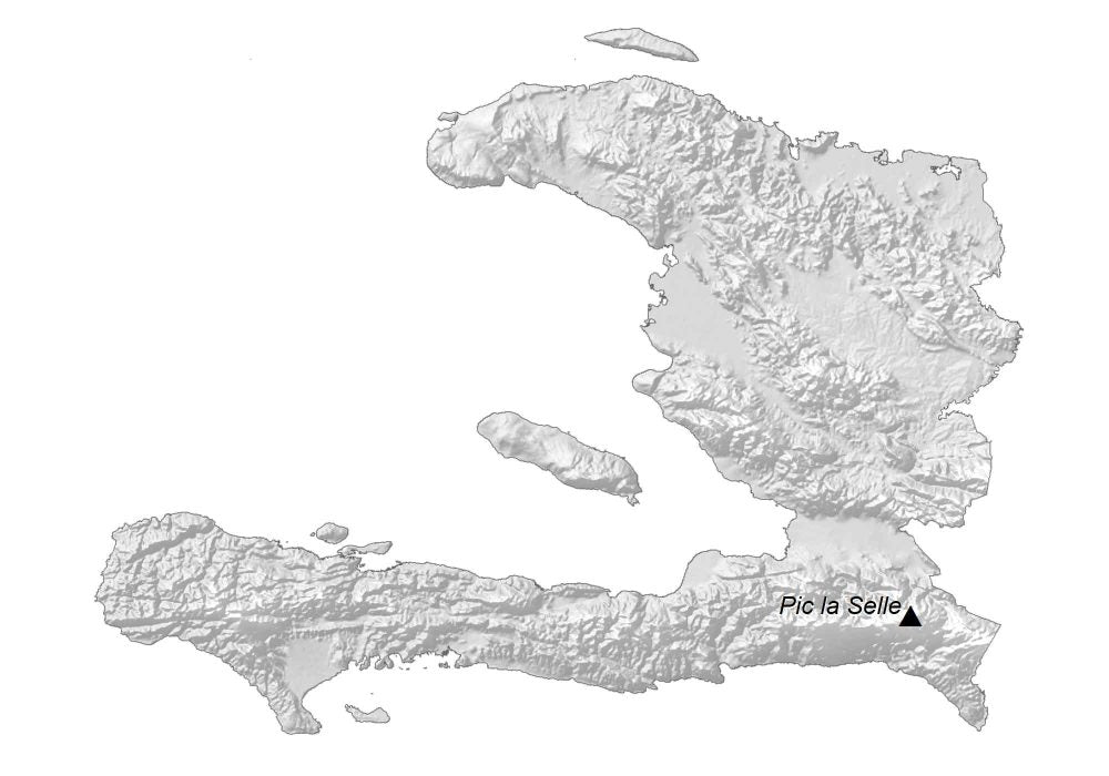 Haiti Elevation Map Glossy Poster Picture Photo Print Banner  Booma Prints