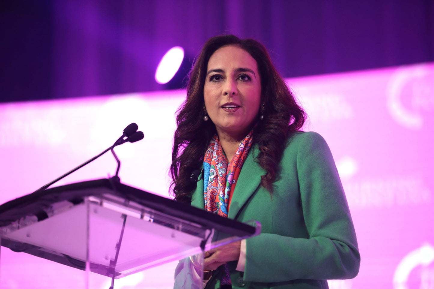 Harmeet Dhillon Doj Lawyer Speech Glossy Poster Picture Photo Print Banner  Booma Prints
