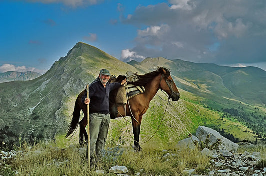 Pindos Pony Glossy Poster Picture Photo Print Banner  Booma Prints
