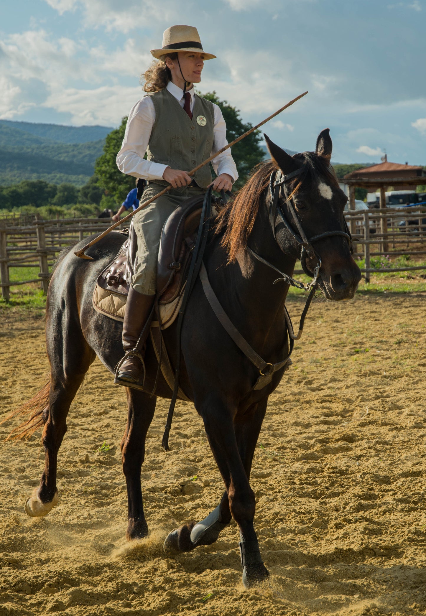 Maremmano Horse Glossy Poster Picture Photo Print Banner  Booma Prints