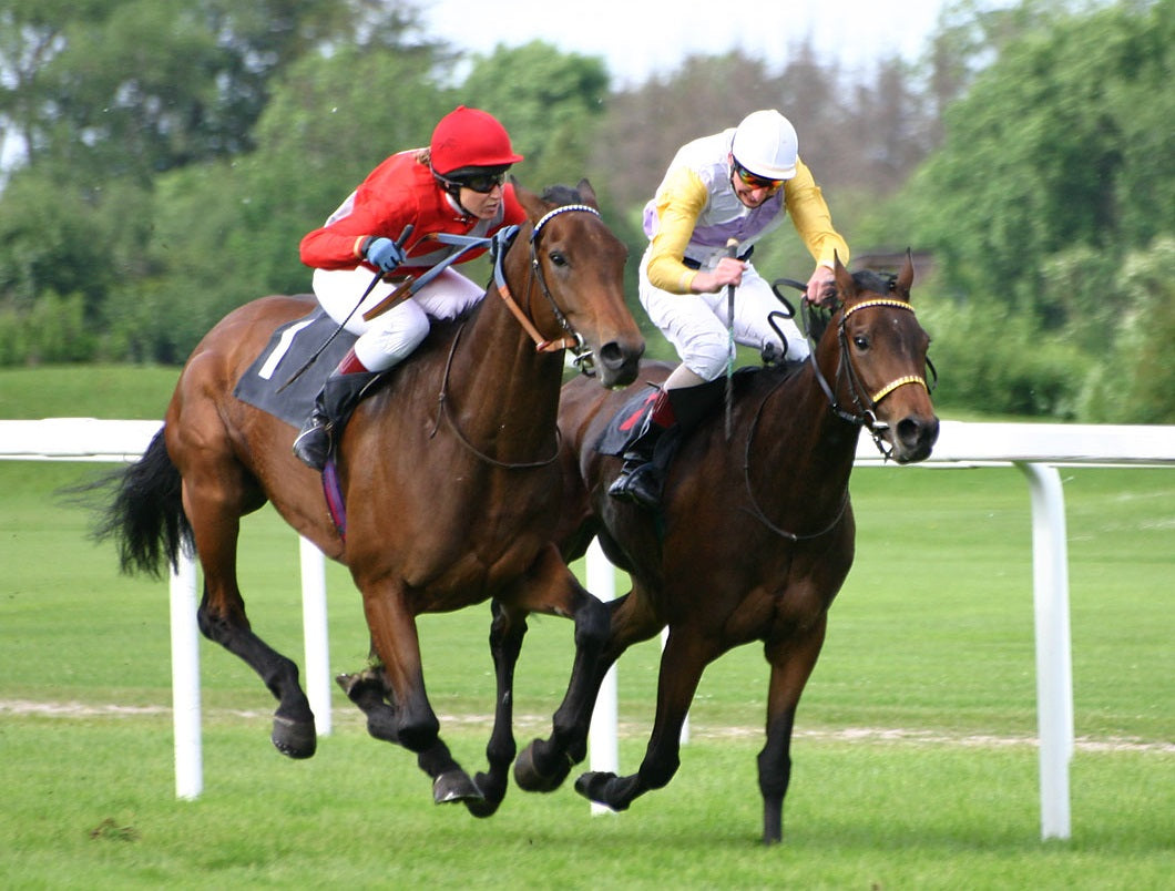 Thoroughbred Horses & Riders Glossy Poster Picture Photo Print Banner  Booma Prints